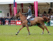 STAUT ESTOY AQUI LaBaule2013- S5 9797 : 2013, ESTOY AQUI, La Baule, STAUT KEVIN, foto di Stefano Secchi ©